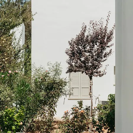 Palos * Livadi (Serifos)